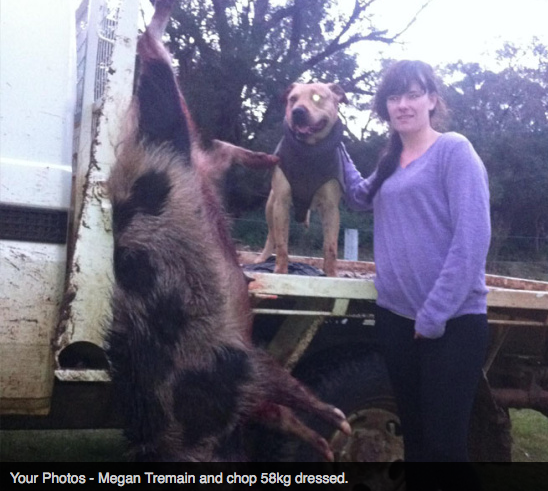 Screen Shot 2013-10-02 at 1.38.05 PM